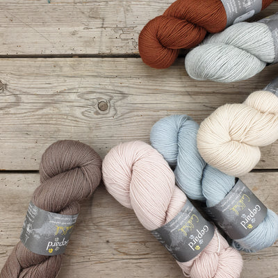 Gepard Cash Sock - sokkegarn